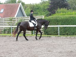 img_5815_web
